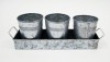 IR14161 - Pots with tray St/4